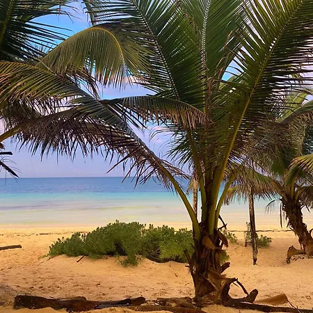 Hôtel Playa lakin-ha